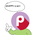 [picoCTF] Information