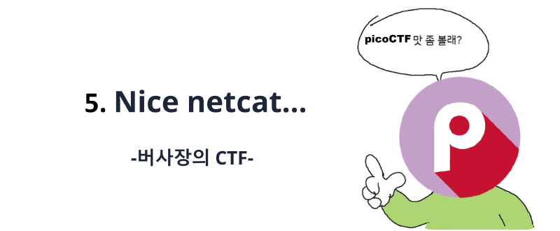 Featured image of post [picoCTF] Nice netcat...